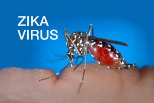 Zika Virus And Microcephaly Need For More Research Mayo Clinic News