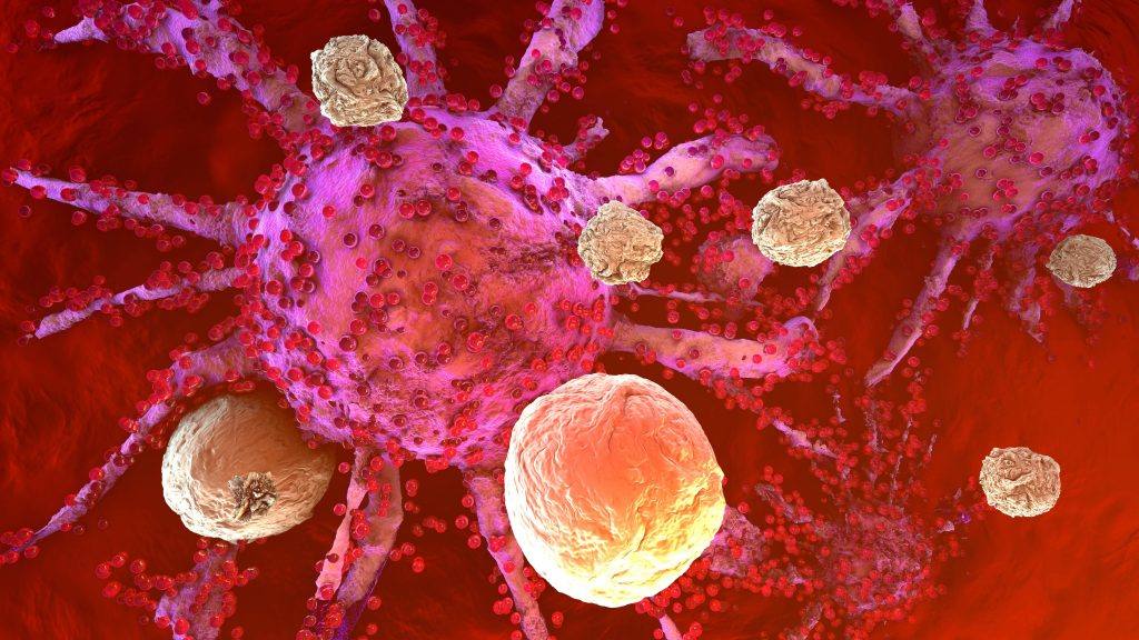 أبحاث مايو كلينك تجد أن الجهاز المناعي يستجيب لعلاج السرطان بالحمض النووي الريبوزي المرسال - أخبار مايو كلينك