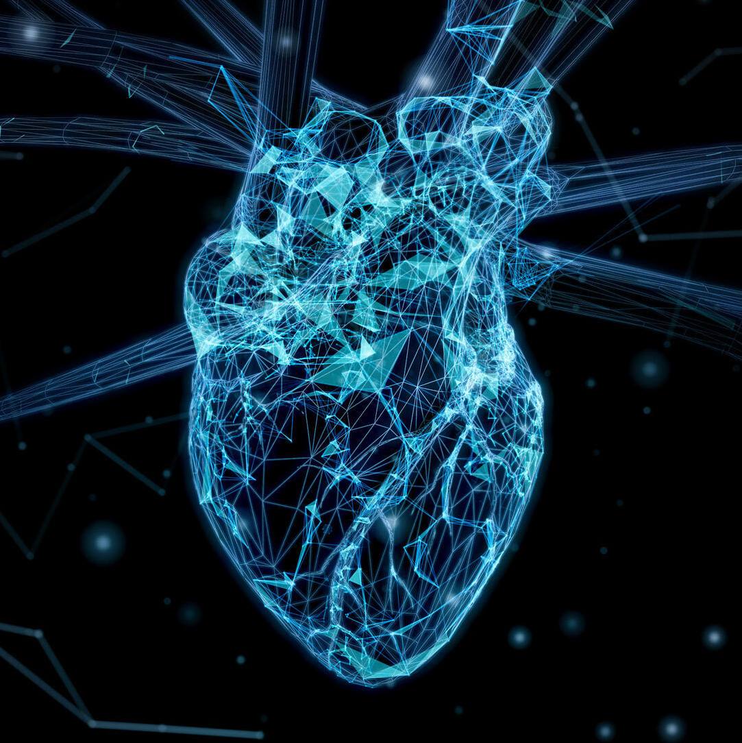 “Ensaios clínicos virtuais” podem prever o sucesso de medicamentos para insuficiência cardíaca featured image
