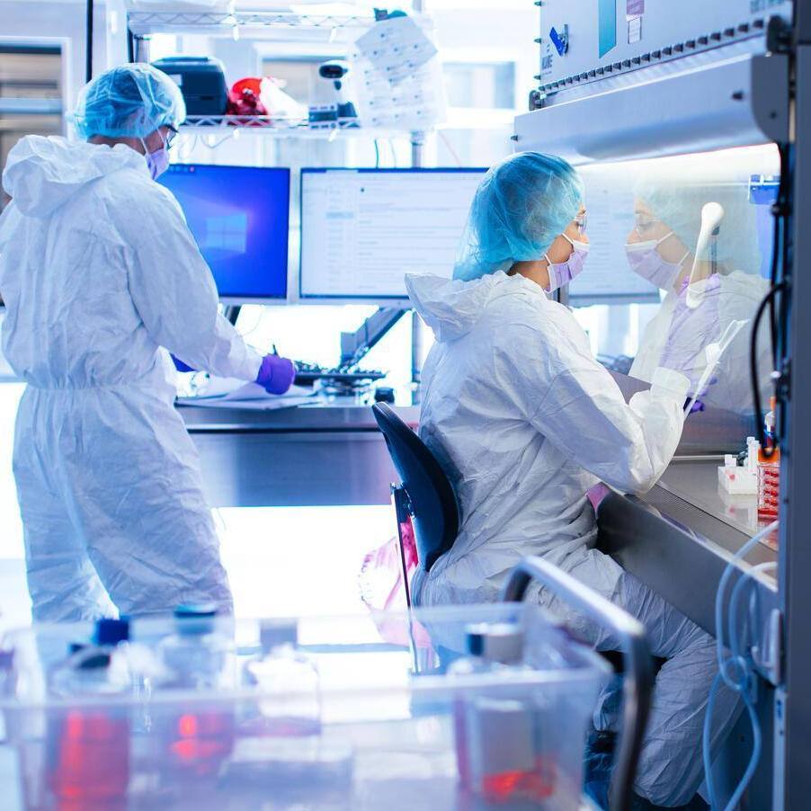 Nova técnica da Mayo Clinic identifica proteínas que desencadeiam respostas imunológicas em transplantes e implantes featured image