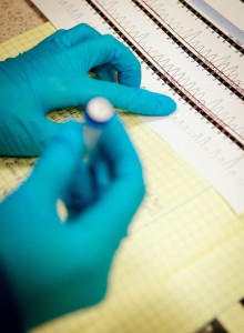 Close up picture of labworker hands with rubber gloves