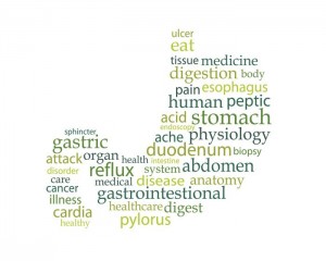 stomach word cloud