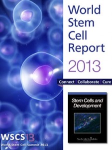 blue and purple report cover for World Stem Cell 2013 conference