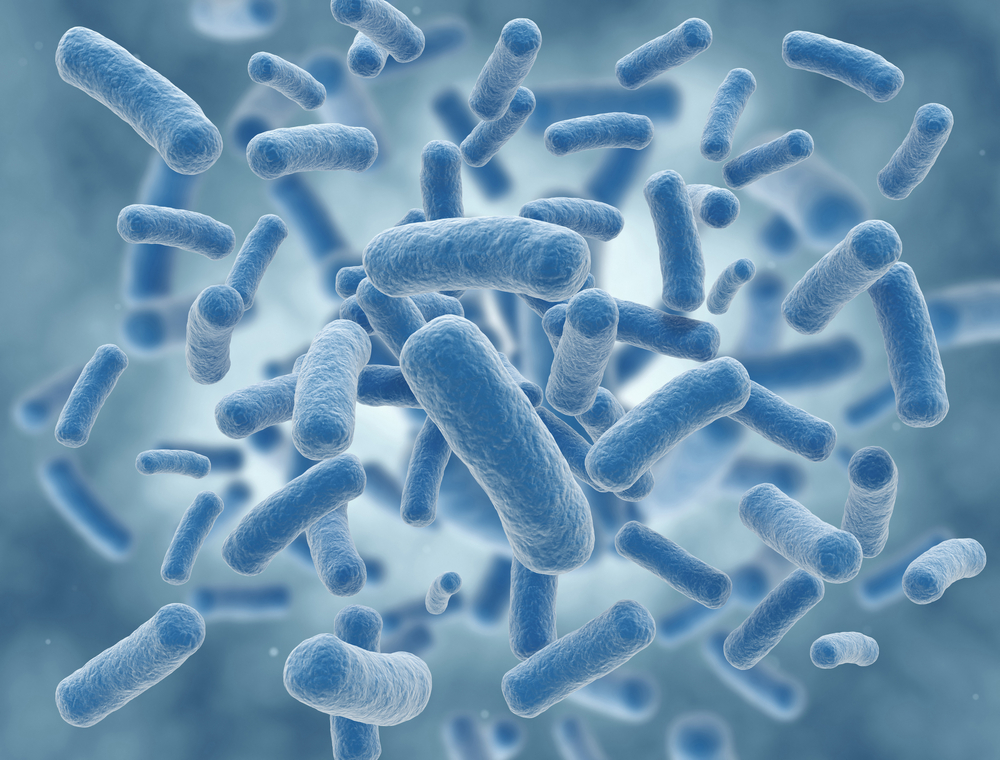 Chronic Exposure to Staph Bacteria May be Risk Factor for Lupus, Mayo ...