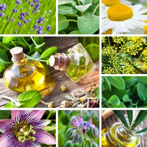 Aromatherapy Images of Herbs
