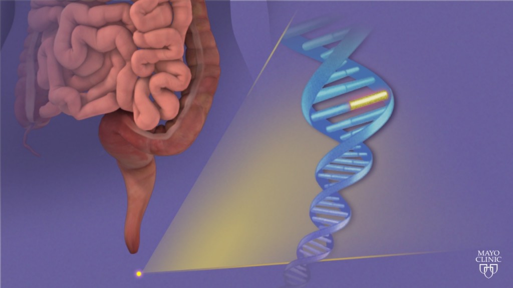 DNA stool animation/image