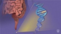 Imagen de ADN y de colon
