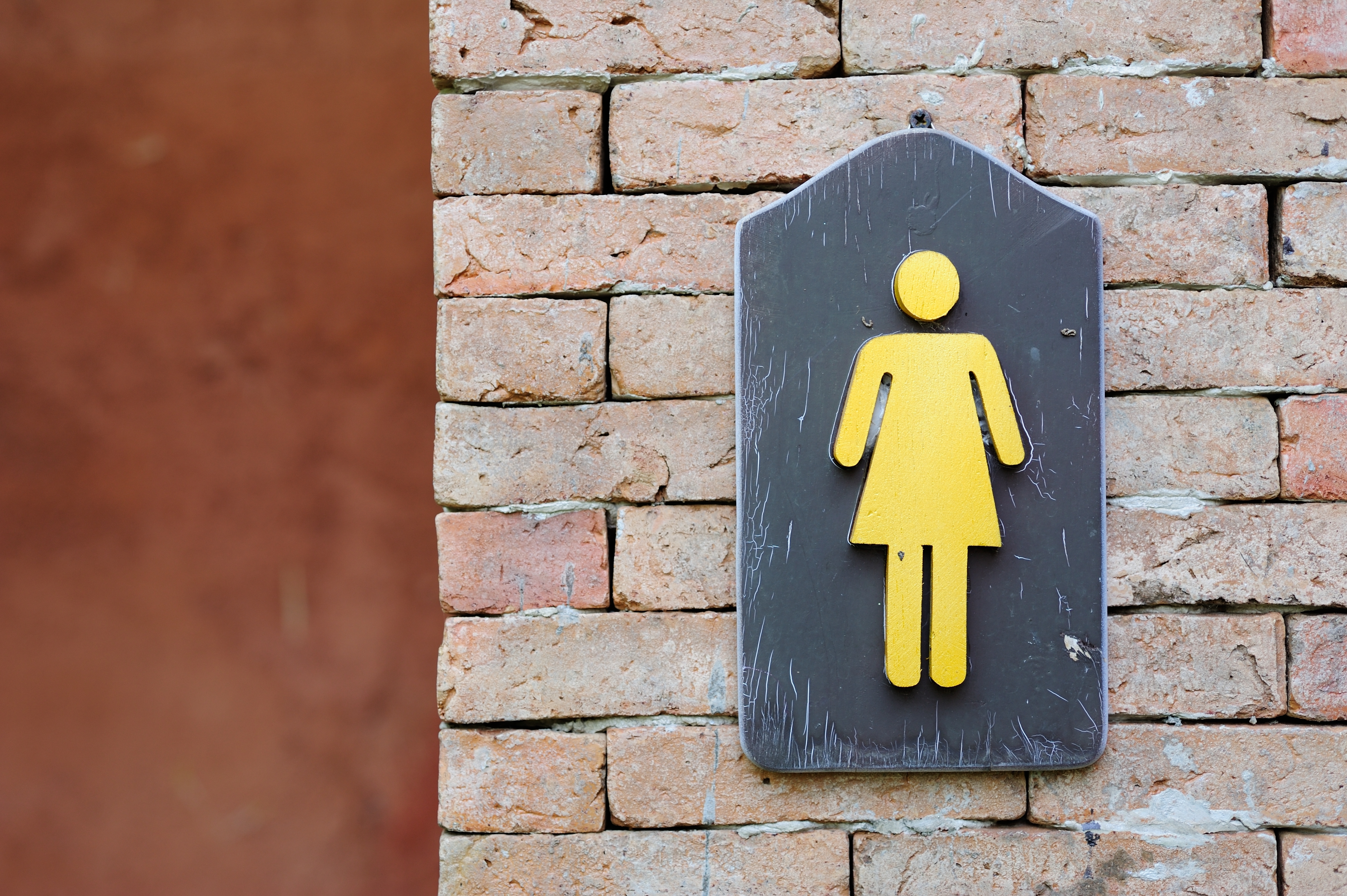 Woman's universal bathroom symbol - incontinence