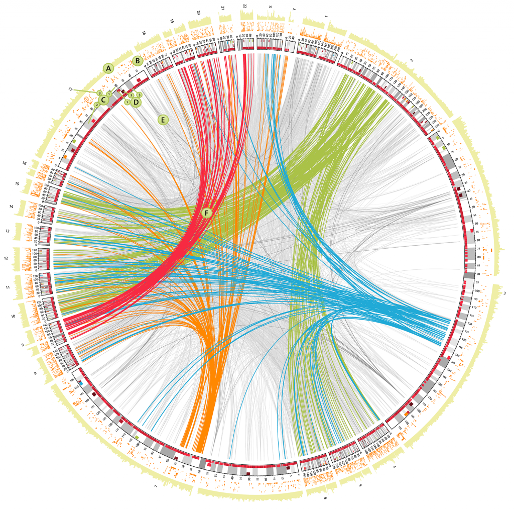 changes-in-genetic-testing-recommendations-strengthen-patient-autonomy