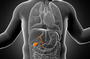 Medical illustration of an infant and its gallbladder highlighted in orange
