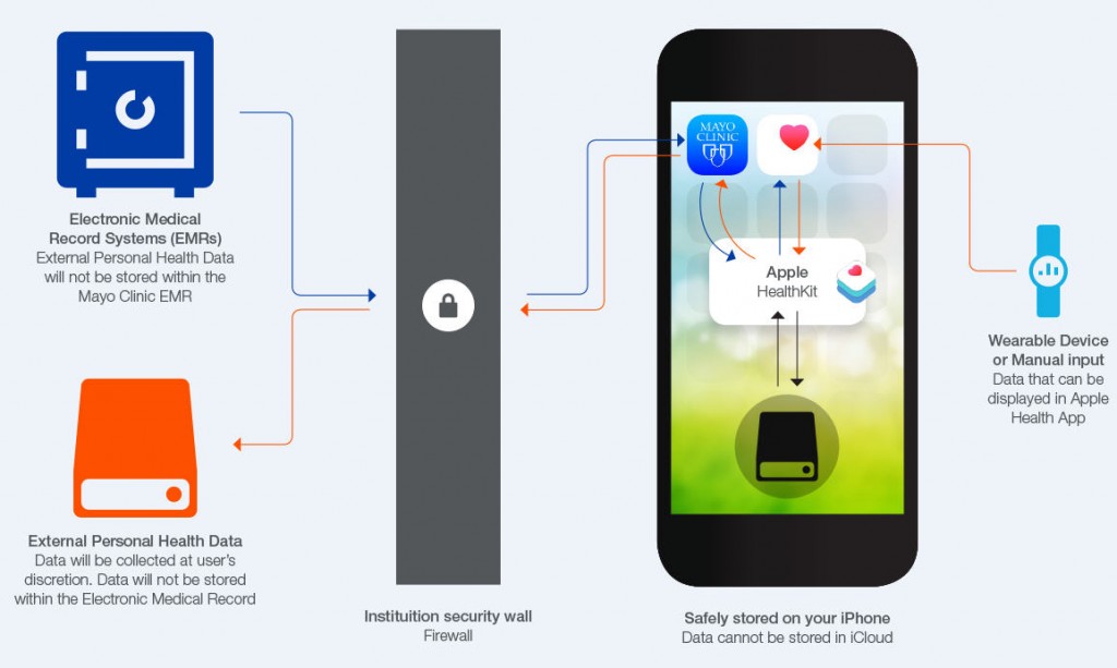 infographic of how the HealthKit data is secure on iPhone