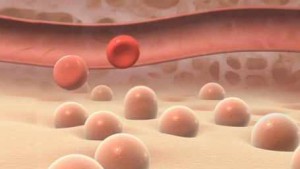 illustration of stem cells