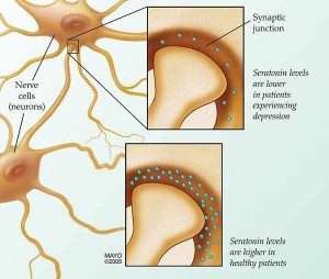 illustration of nerve cells depicting serotonin levels affecting depression