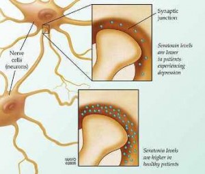 Ilustración de las células nerviosas que muestra el efecto de los niveles de serotonina sobre la depresión