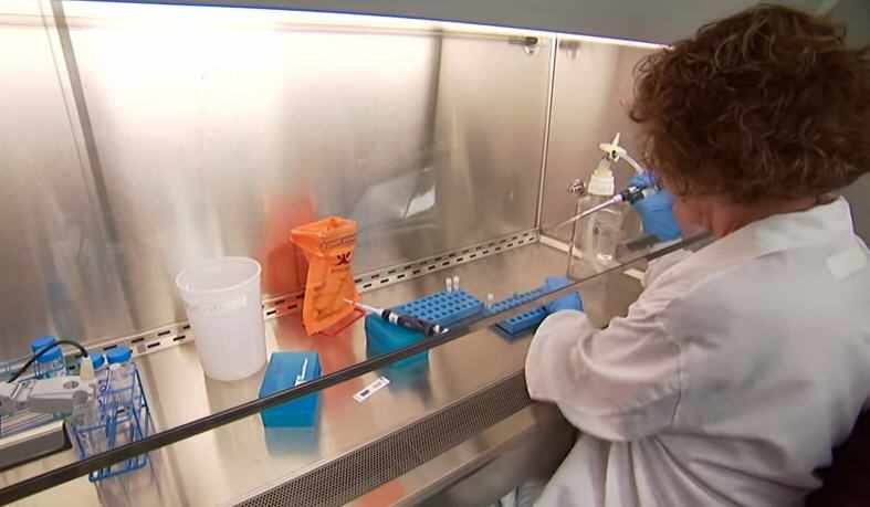 researcher working in laboratory on measles virus and cancer study