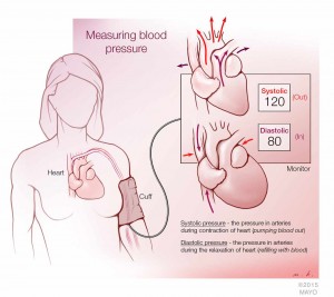 illustration describing how to measure blood pressure