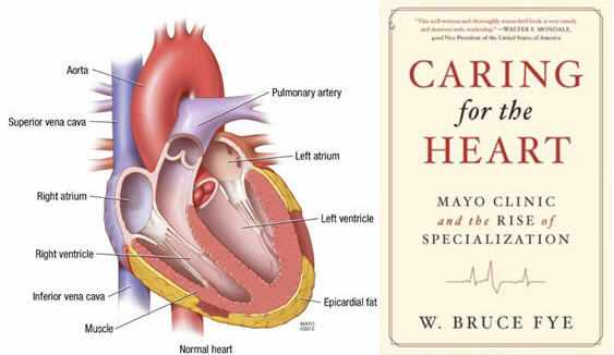 Caring for the Heart Book with illustration of a heart
