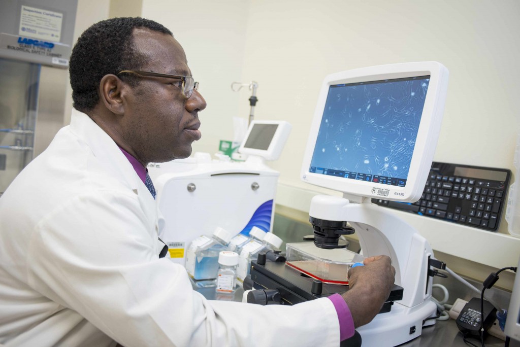 Dr. Zubair working in his laboratory