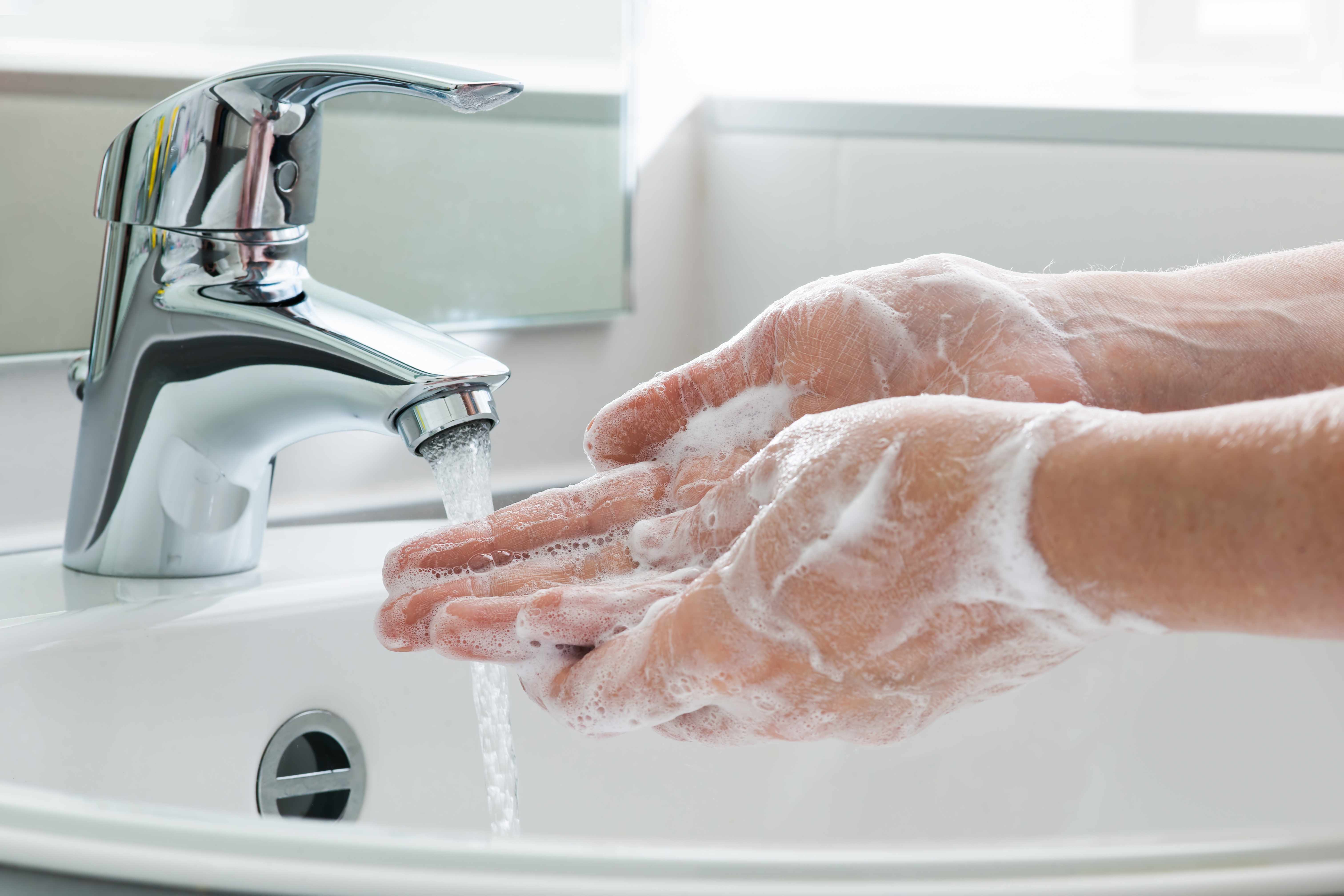 person washing hands in soap and water
