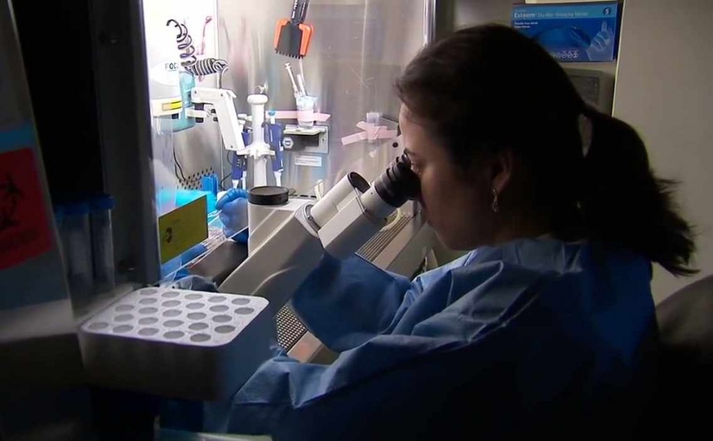 woman working in regenerative medicine lab on stem cell research