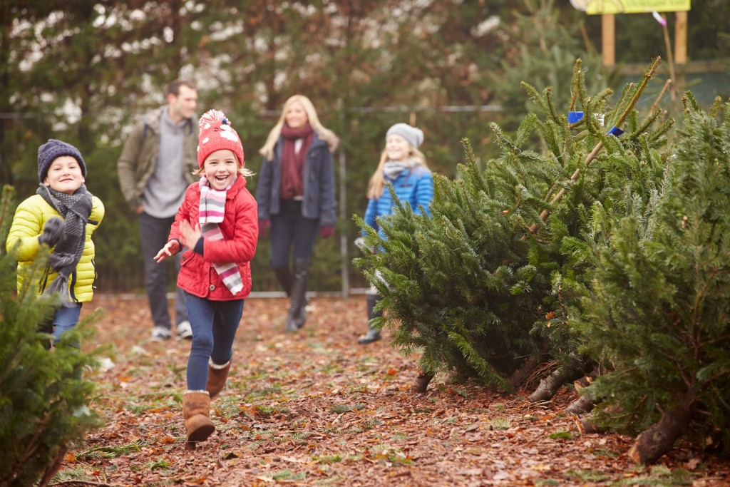 children running through a christmas tree lot with mom and dad in the background