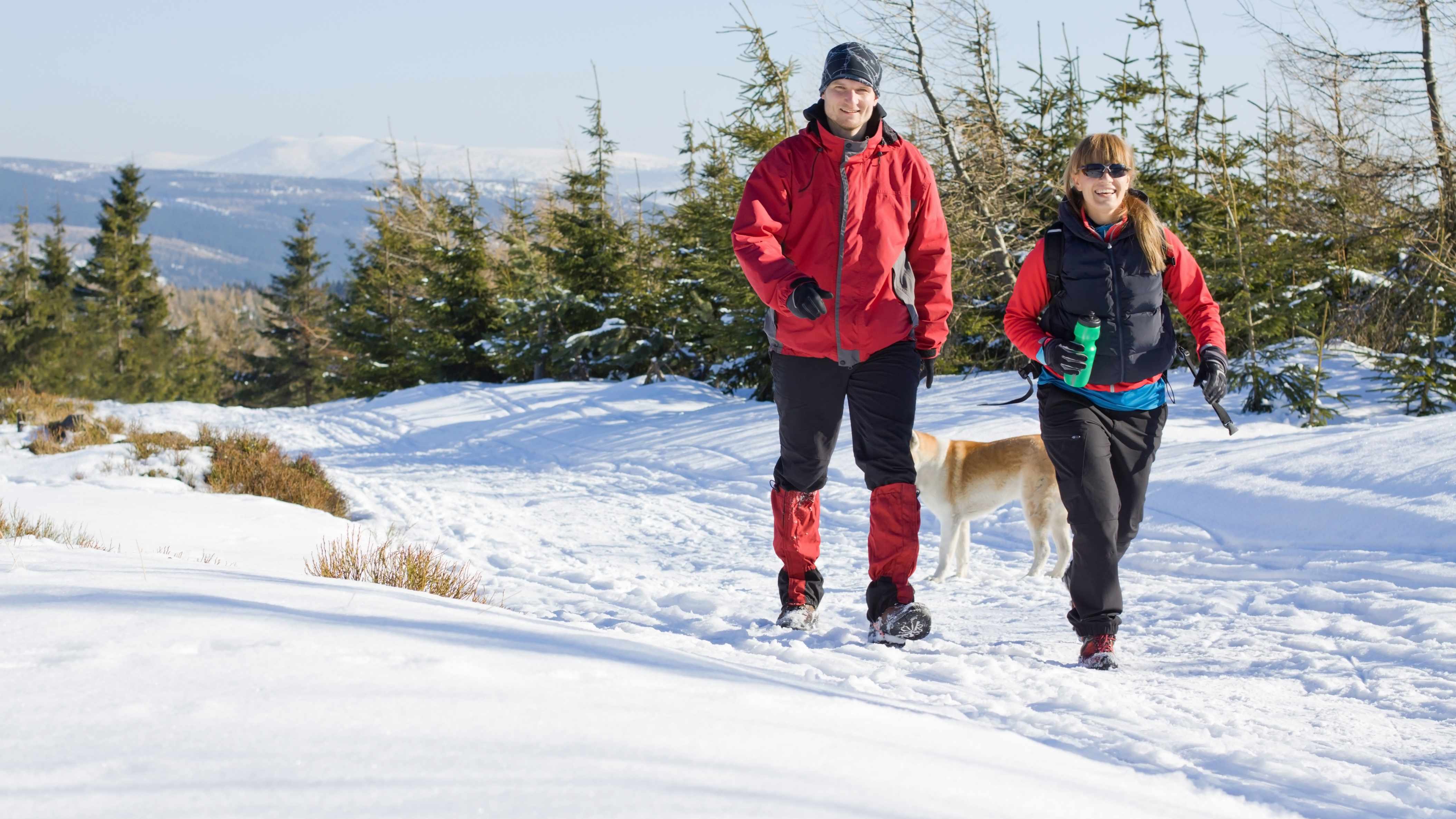 couple hiking with their dog in the snow