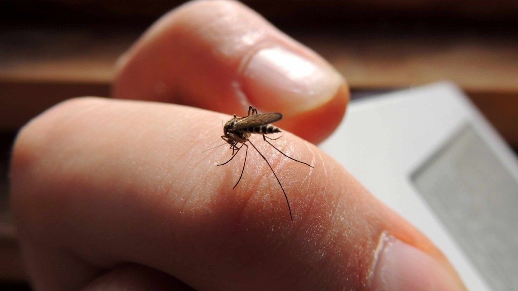 Mosquito picando el dedo de una persona