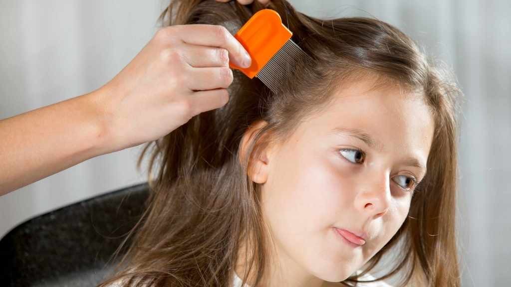 little girl being checked for lice 