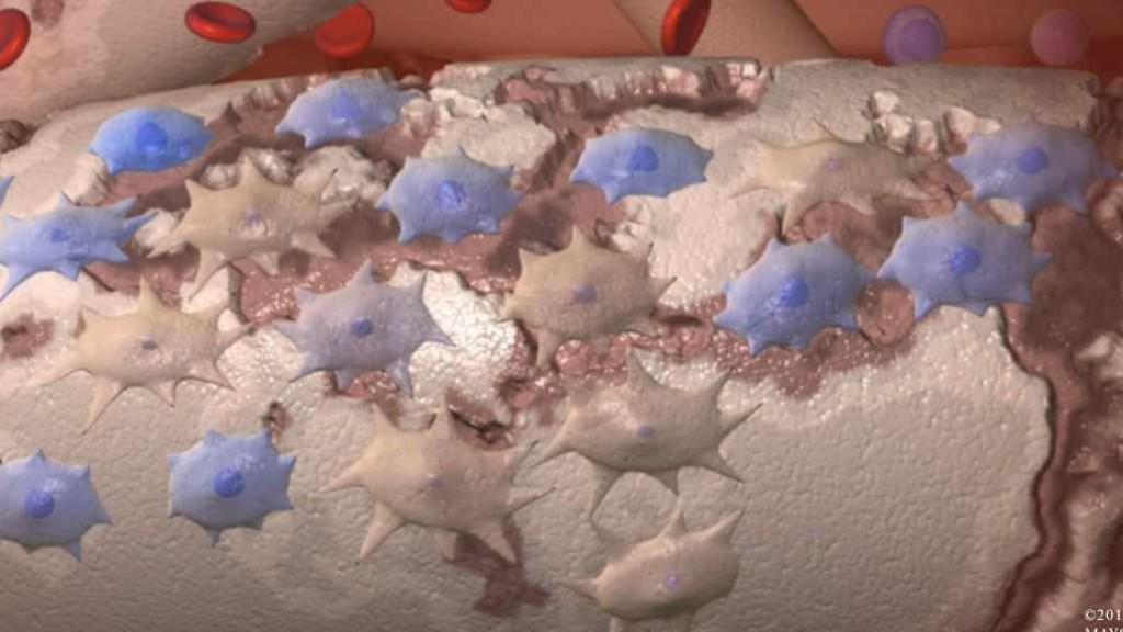 Ilustración médica de las células madre