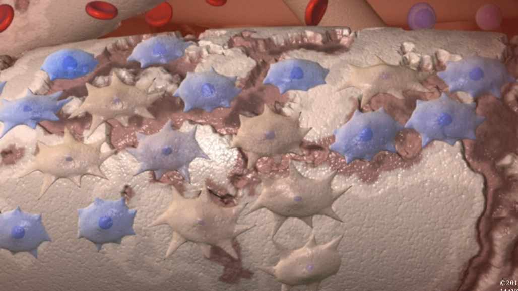 medical illustration of stem cells
