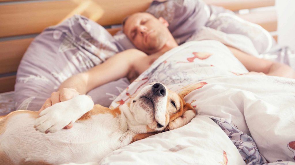 Un hombre duerme junto a su perro sobre las sábanas de la cama.