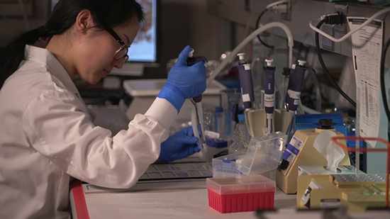 Un científico trabaja con tubos de ensayo en un laboratorio