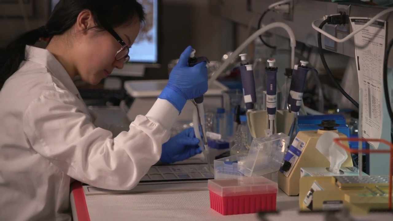 Un científico trabaja con tubos de ensayo en el laboratorio