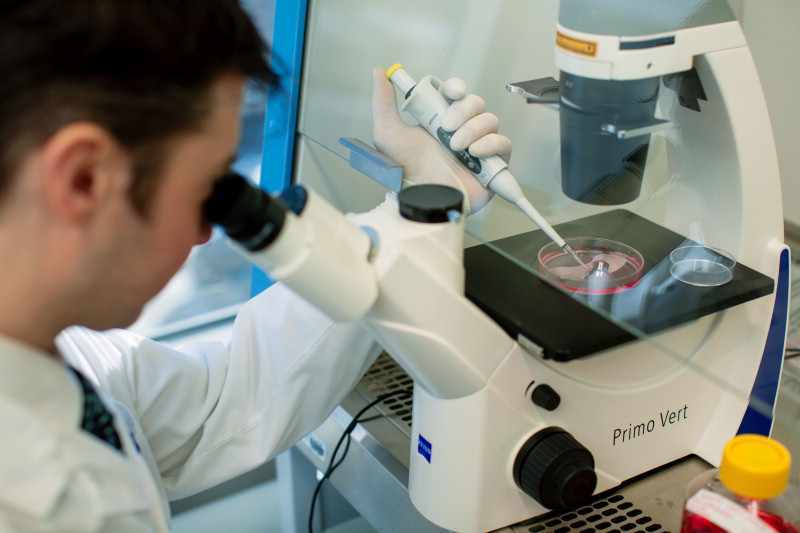 Un científico examina un espécimen al microscopio