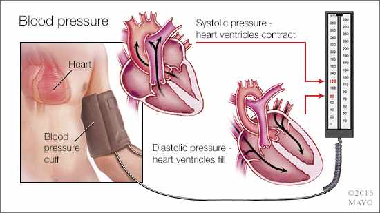 a medical illustration of the mechanism and measurement of blood pressure