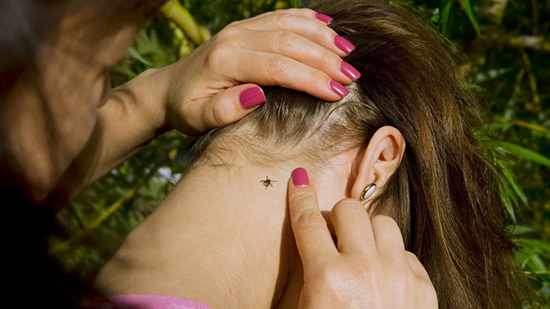 person finding wood tick on young girl's neck