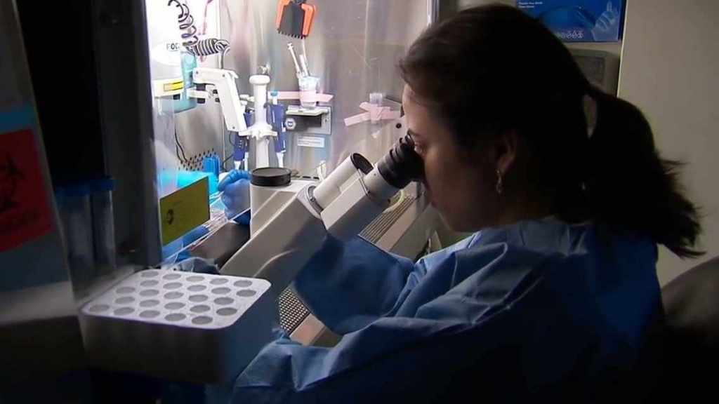 woman working in lab