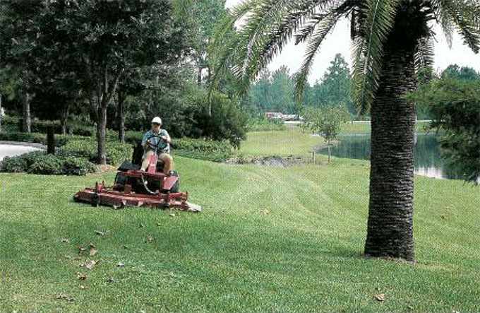 a 1991 photo of head groundskeeper Rickie Firestine mowing at the Mayo Clinic campus in Jacksonville, Florida