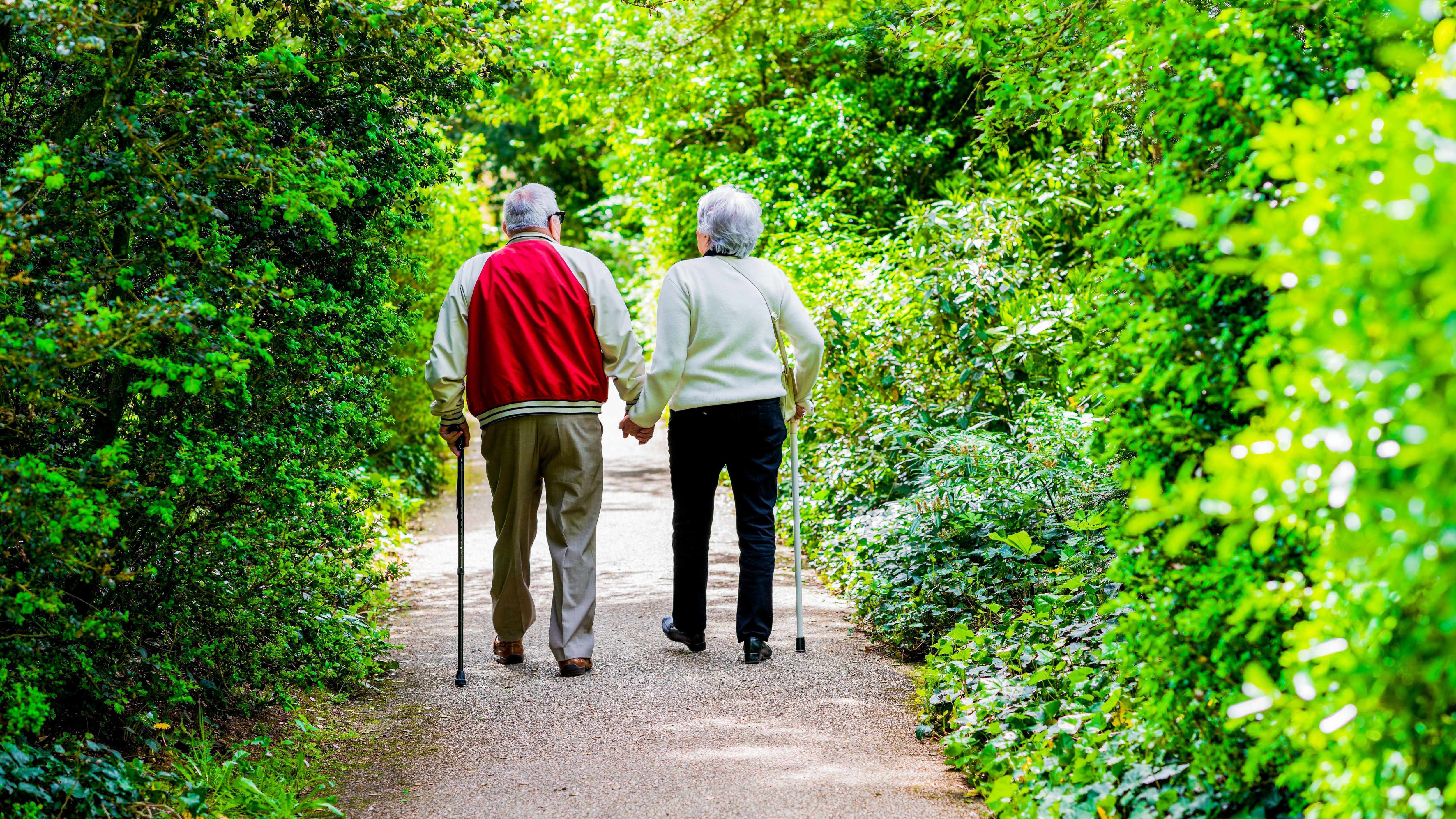 two senior citizens, elderly couple walking down a road or path
