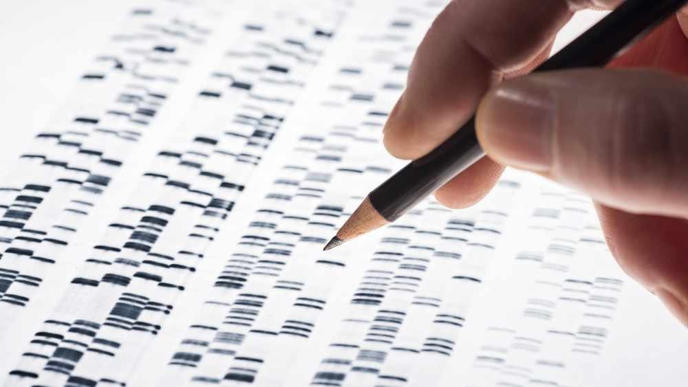 Unos científicos examinan el gel de ADN que se usa en genética, medicina, biología, investigación farmacológica y ciencia forense.