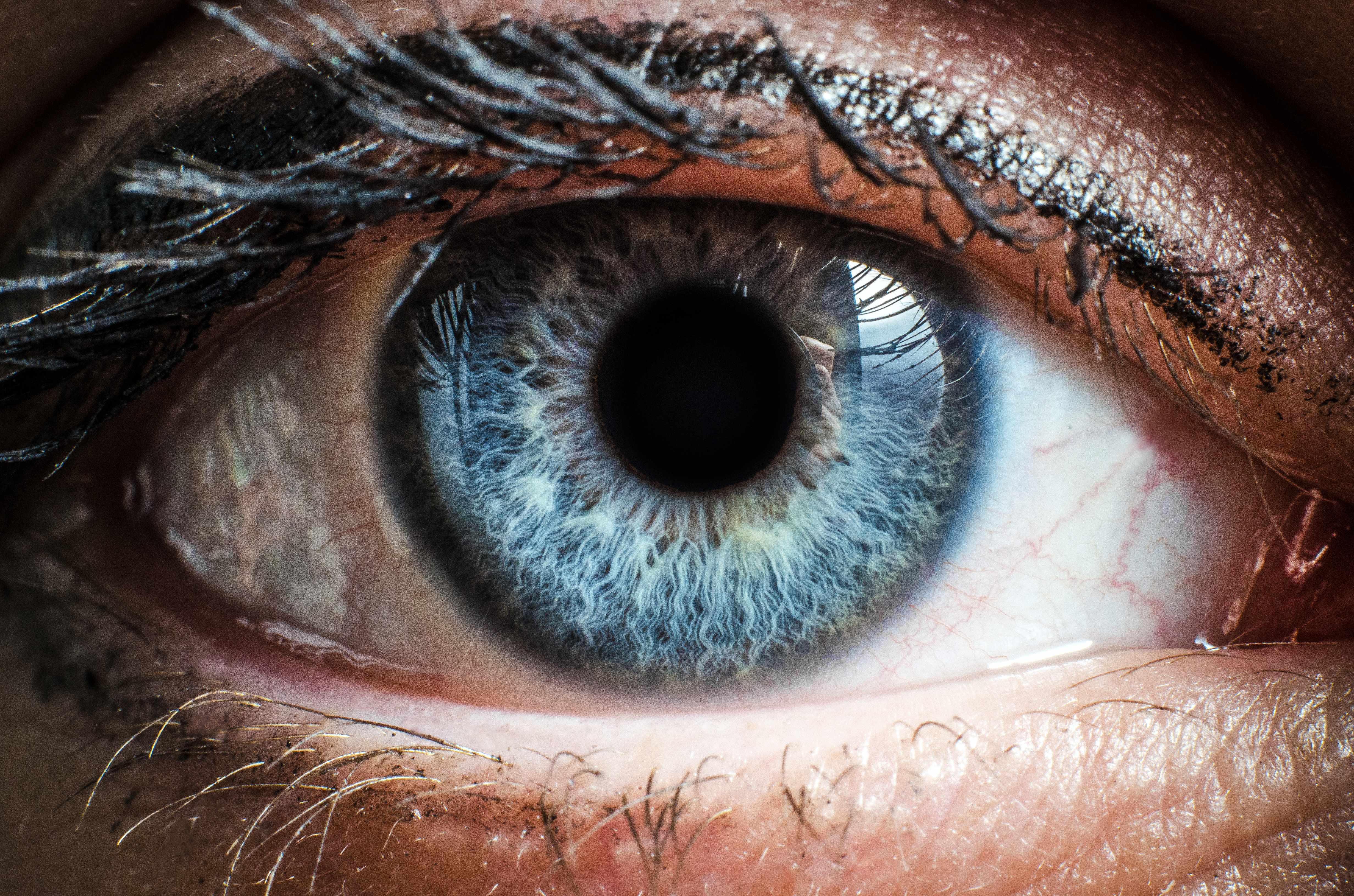 close up of a person's right eye, blue with lashes
