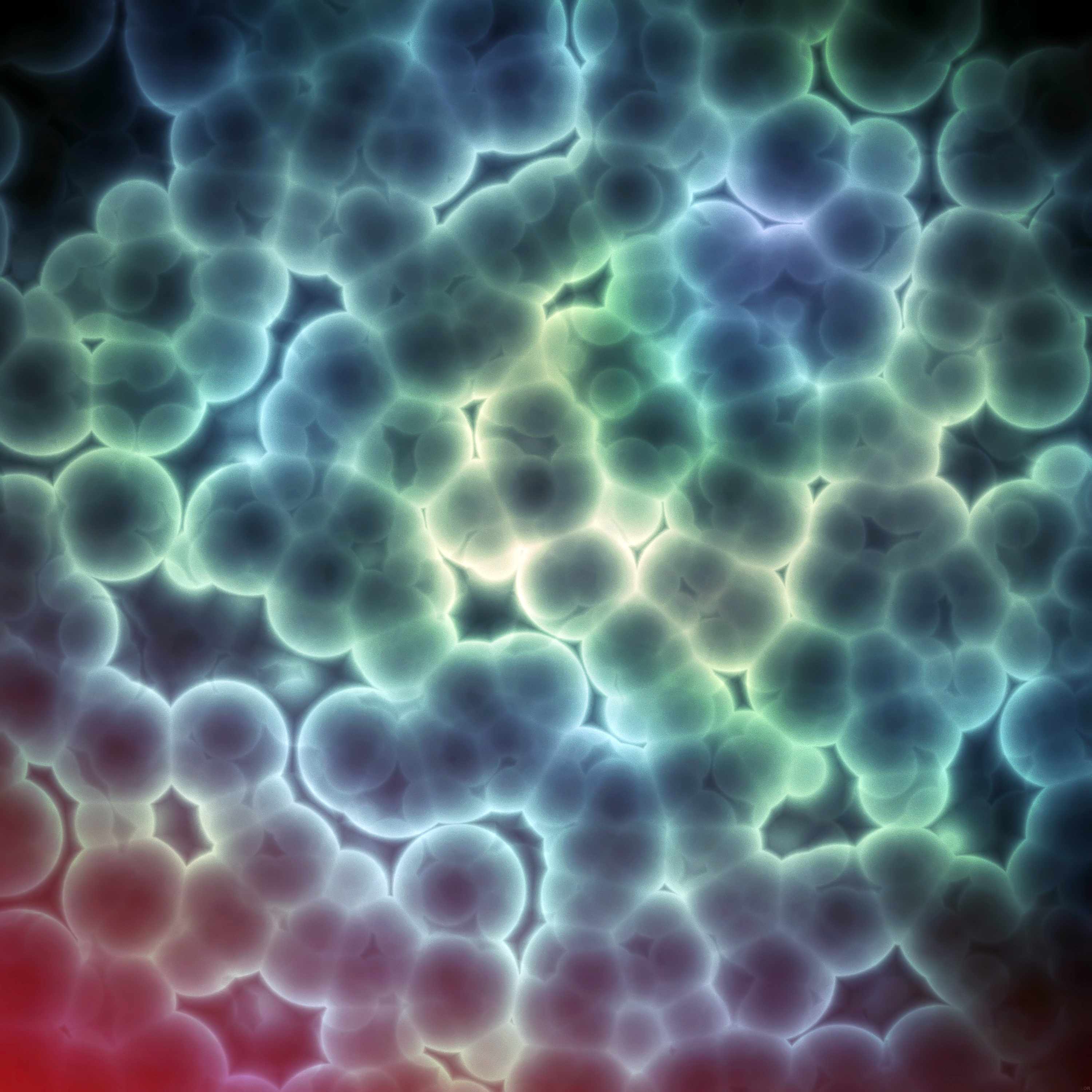 medical illustration of bacteria background