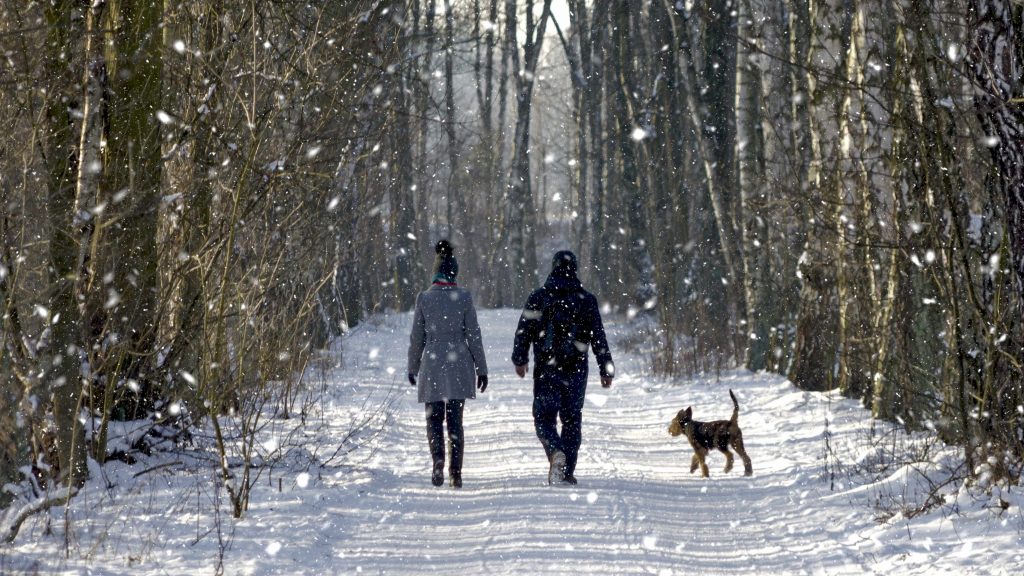 a woman, man and dog walking down a snowy path in the woods