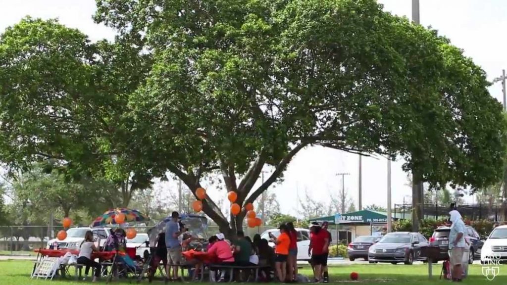 a family having a picnic under a tree in a local park