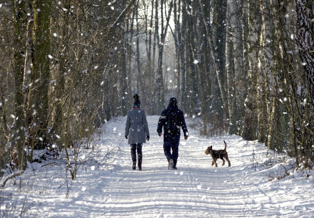 a woman, man and dog walking down a snowy path in the woods