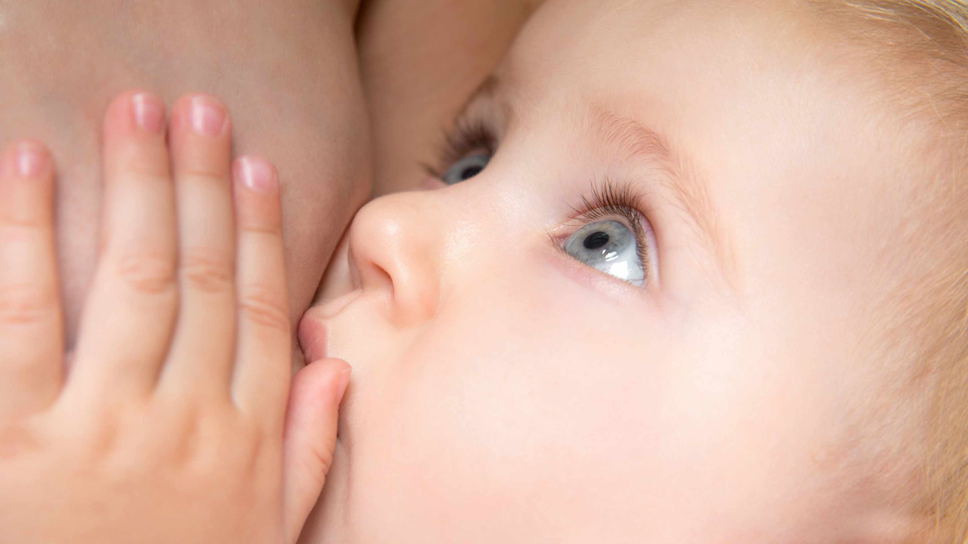 a baby nursing at woman's breast