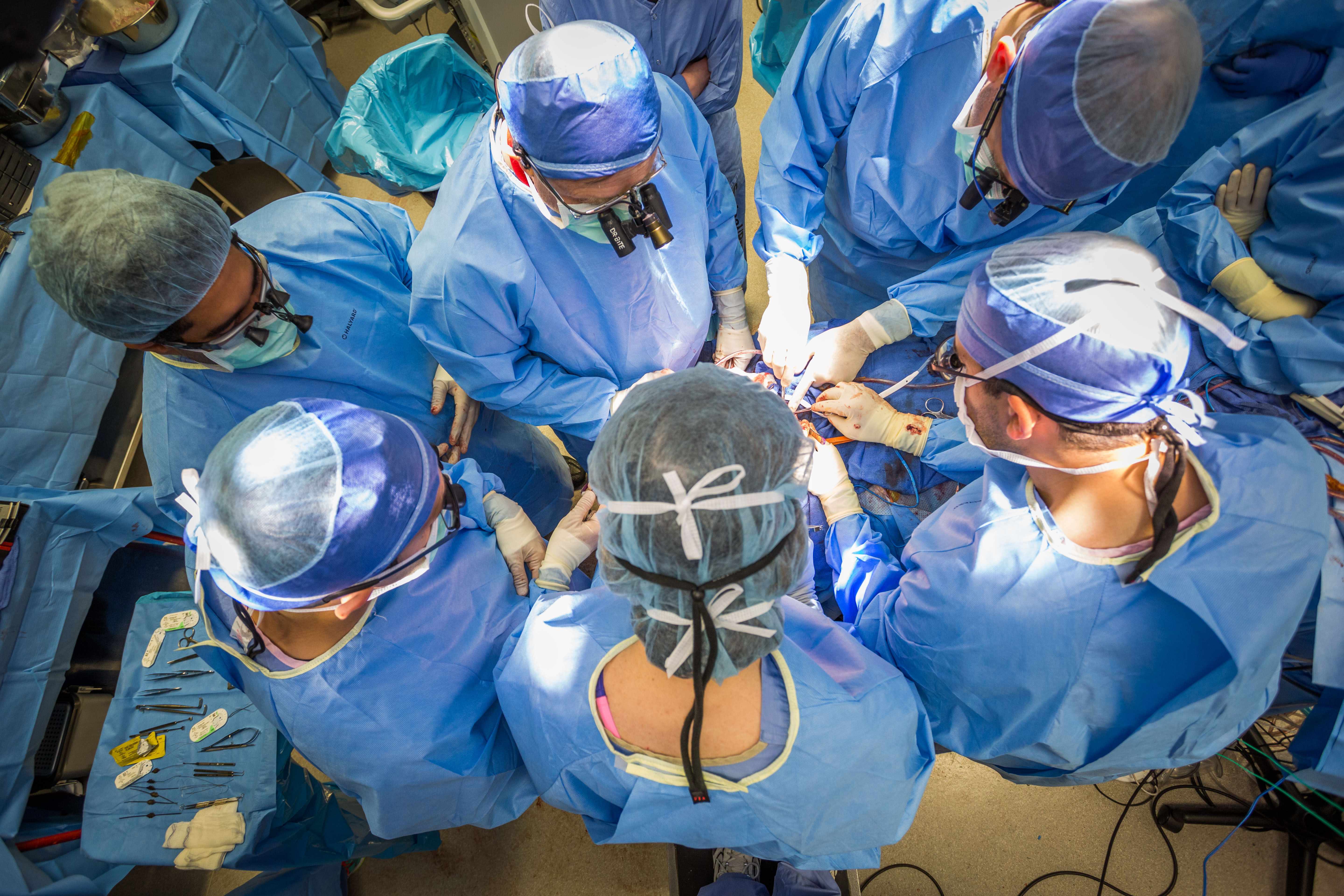 Overhead photo of face transplant team