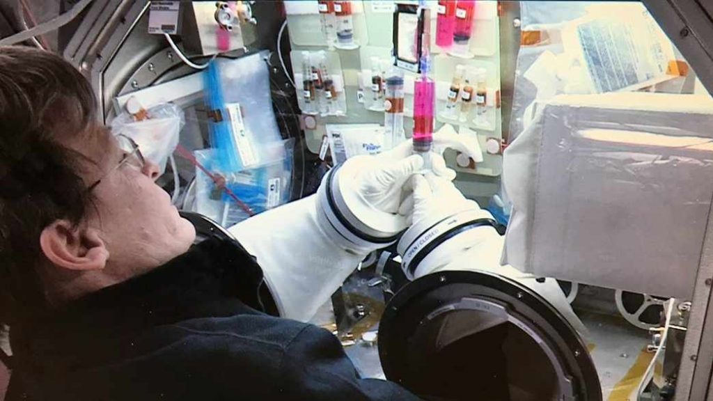 NASA astronaut working on Dr. Zubair's stem cell research on space station