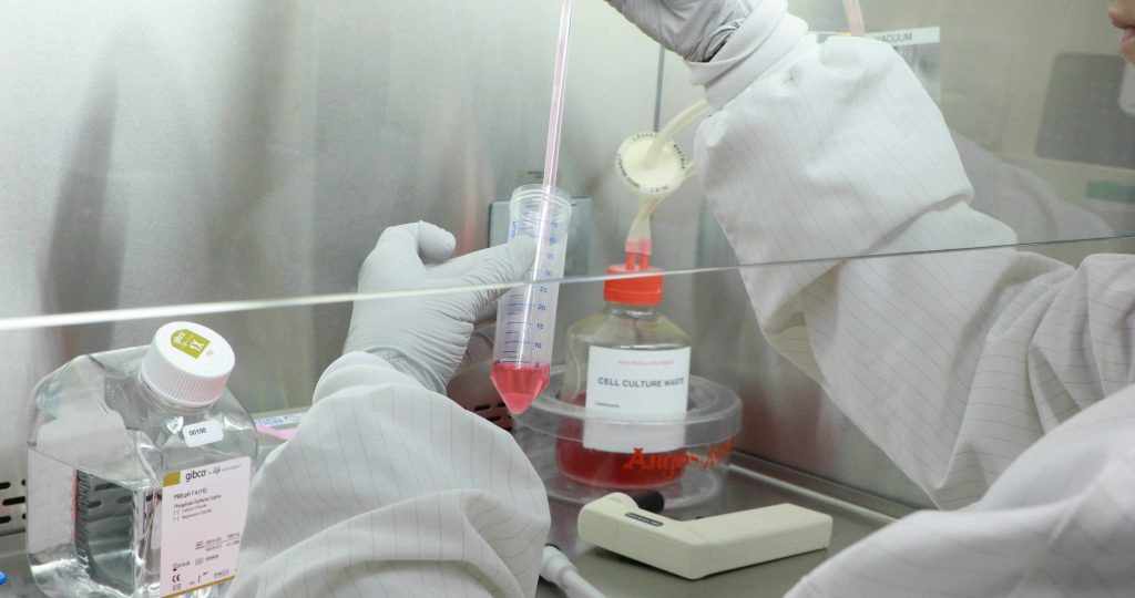 a stem cell researcher working with specimens in the lab