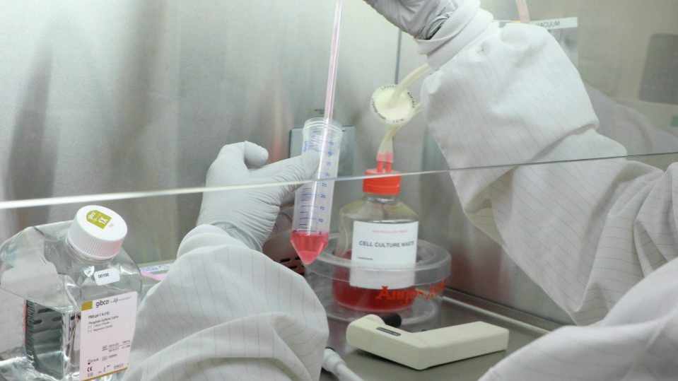 Un investigador de células madre trabaja con especímenes en el laboratorio